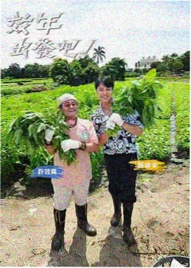 棚拍笑声综艺海报